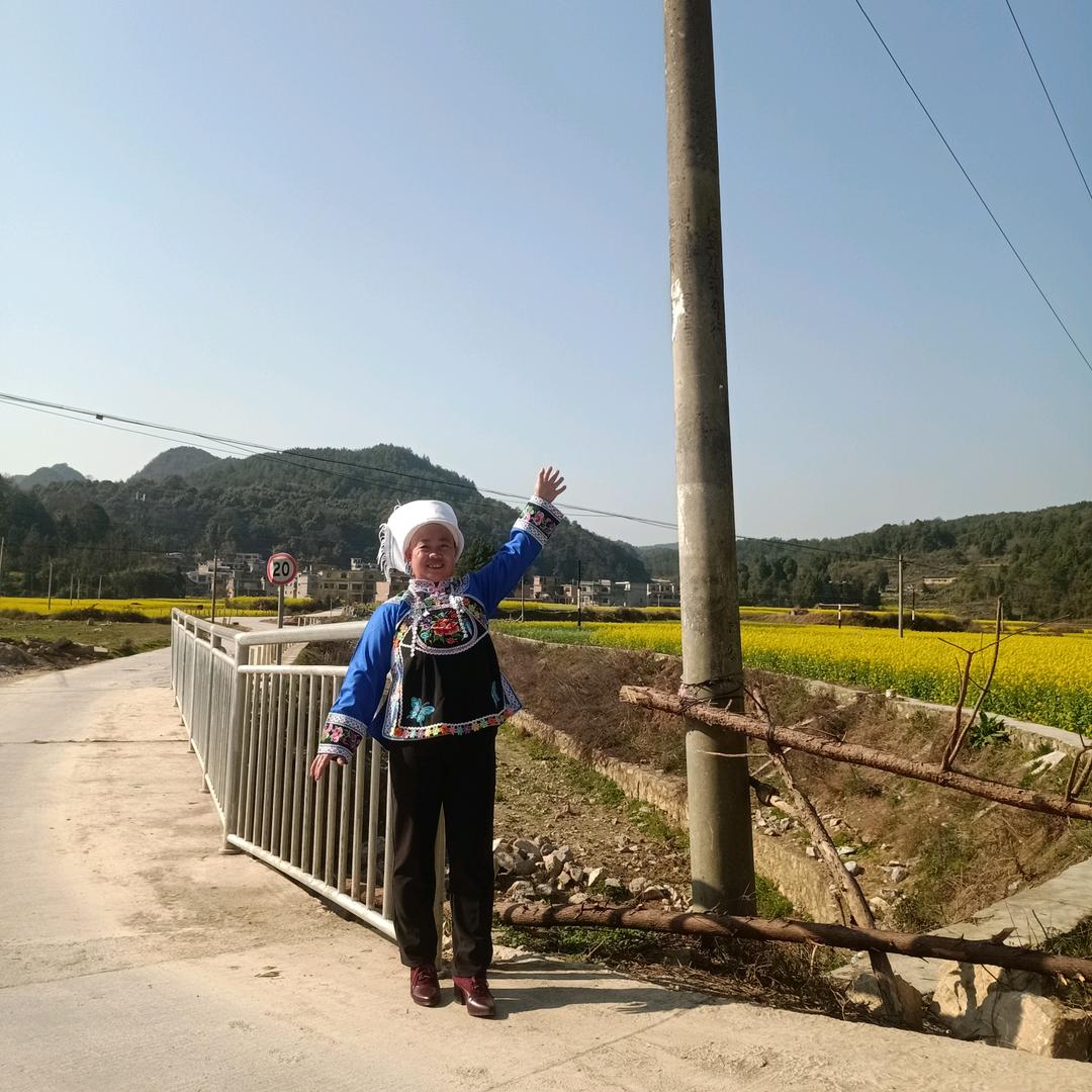 明莲