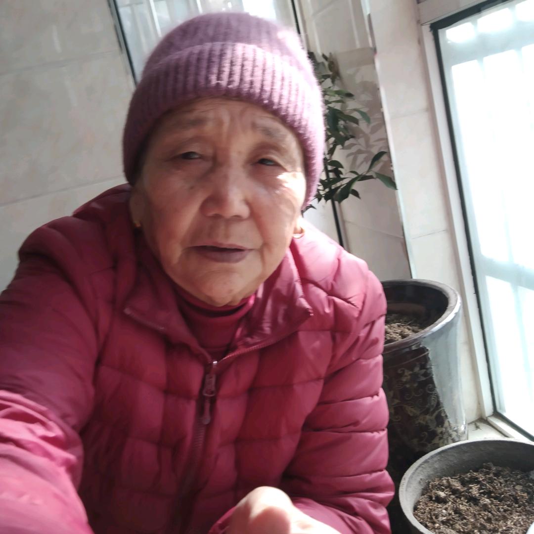刘召英