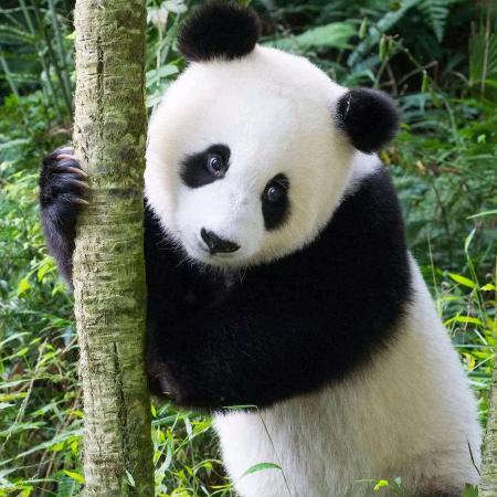 李字气壮
