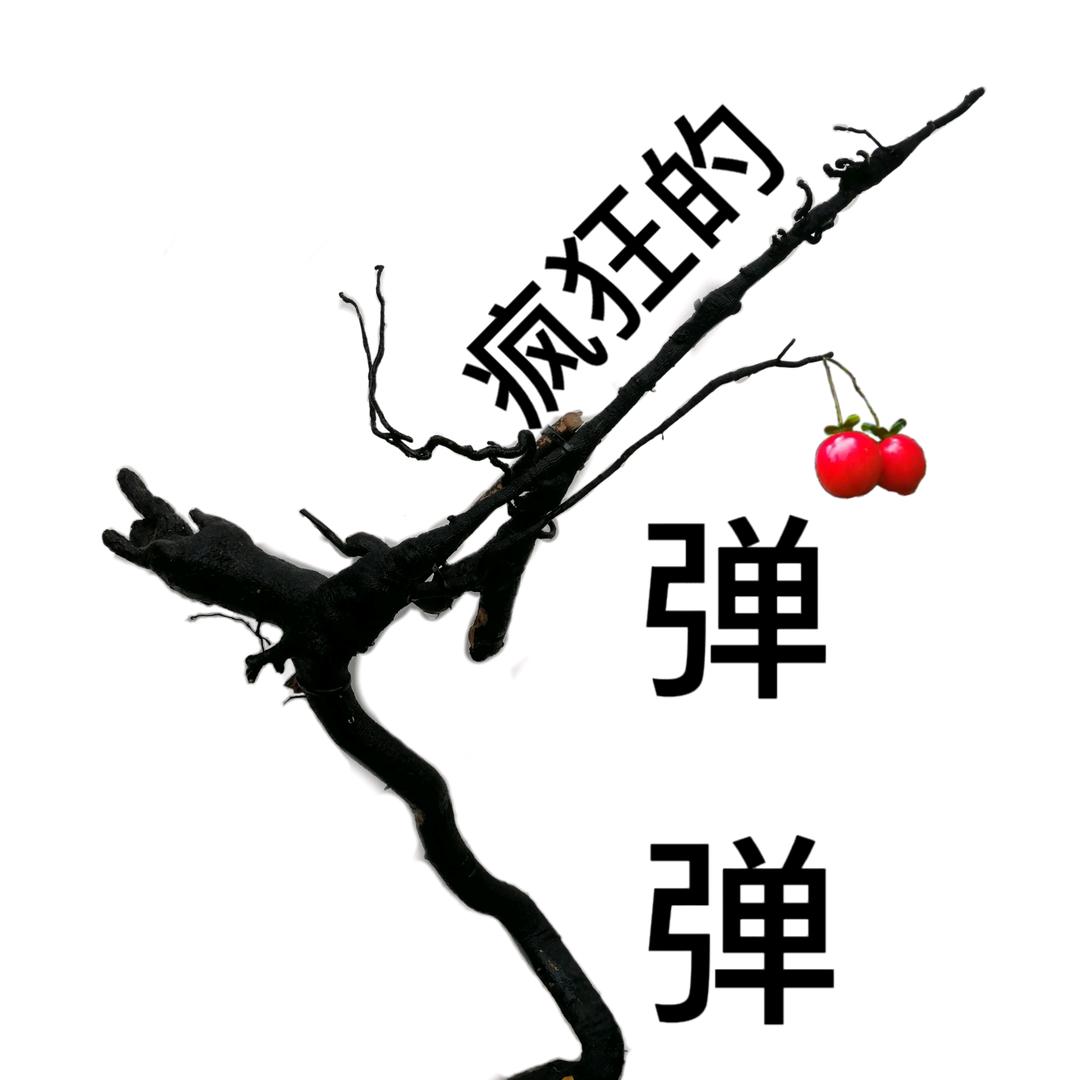 有家金弹子