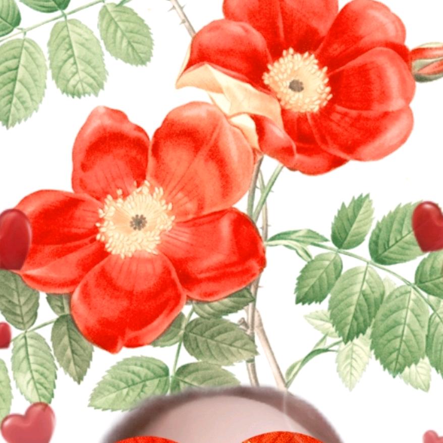 曹大芬