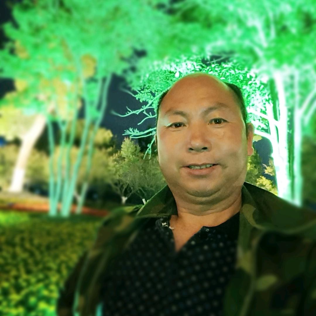 贵州树林哥