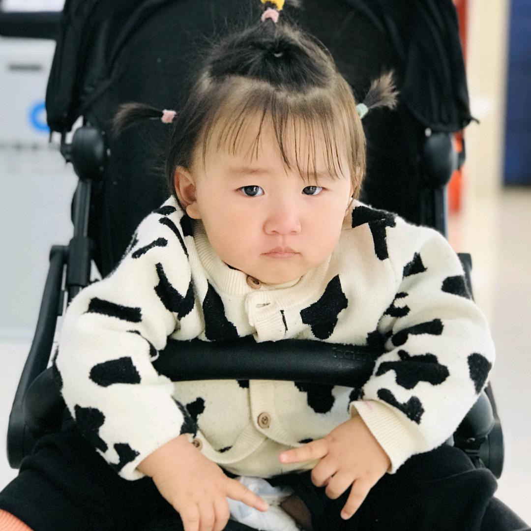红烧狮子头