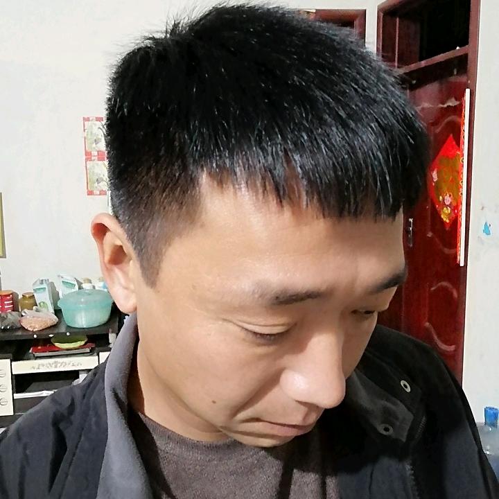 小马