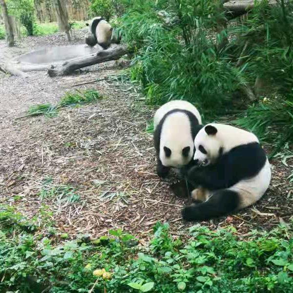 人生(ง •̀_•́)ง