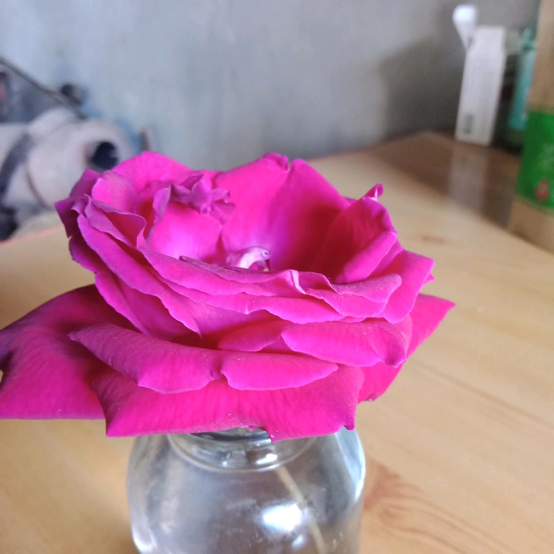 郭家坝汽修：杨