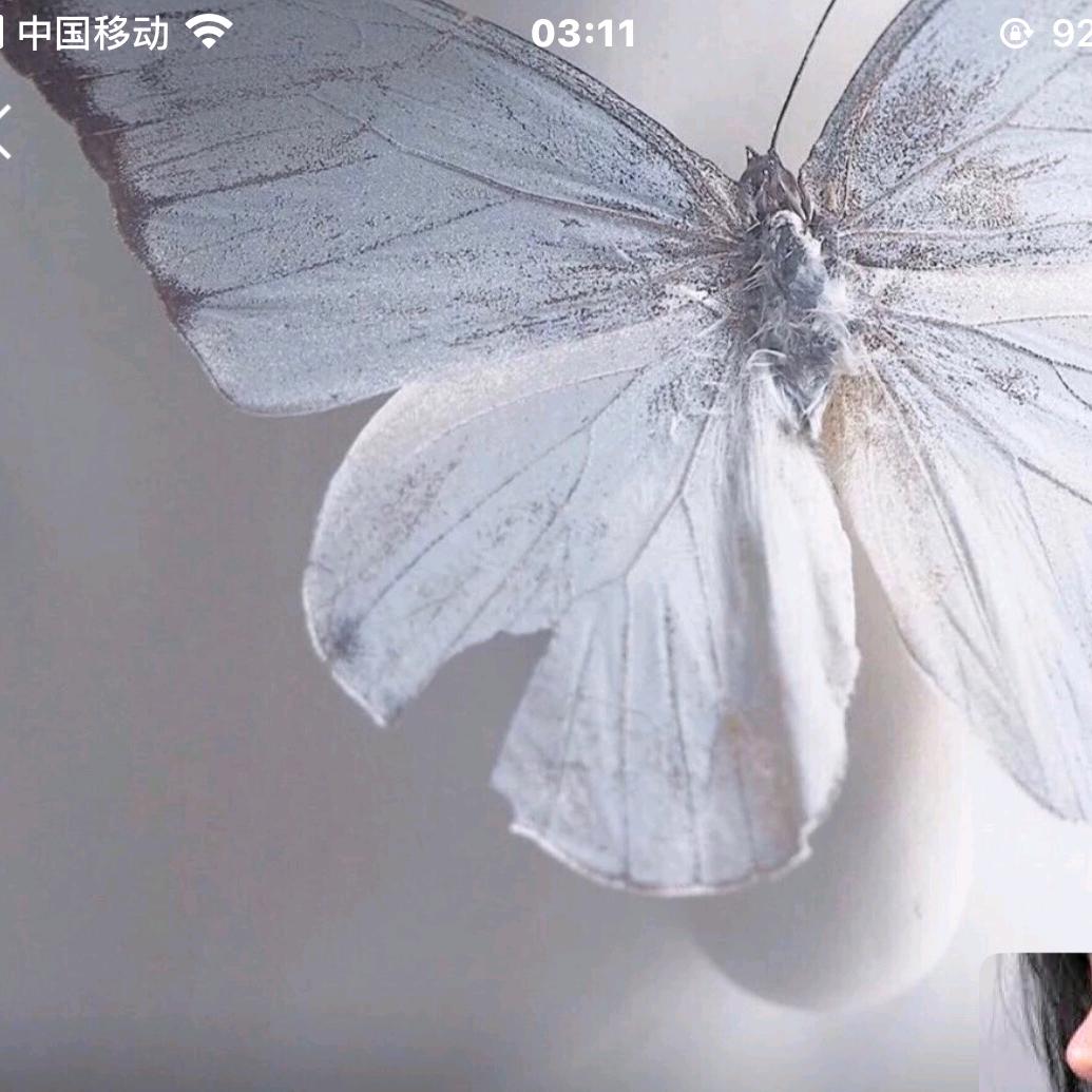 小洁