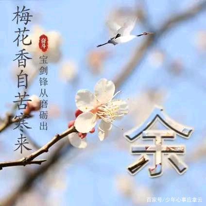说好的，要坚强