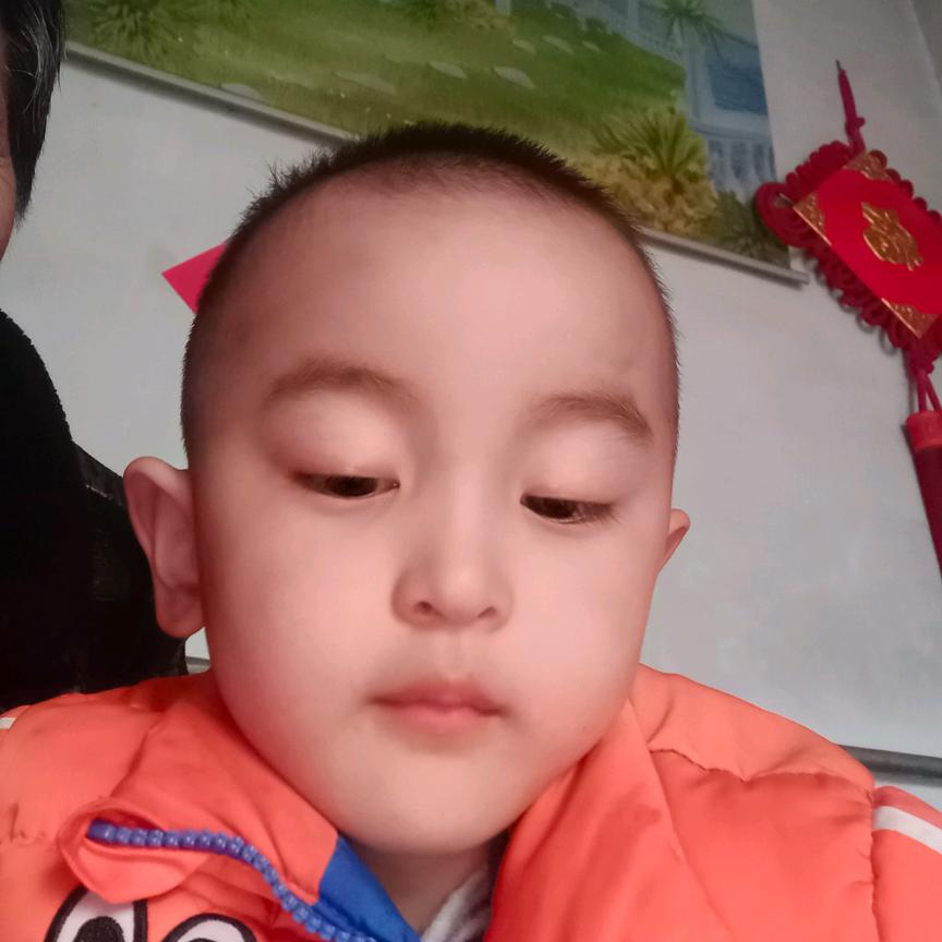 老来乐~。