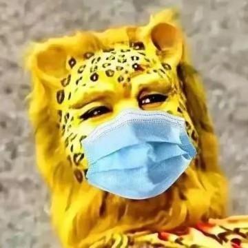 毛毛虫