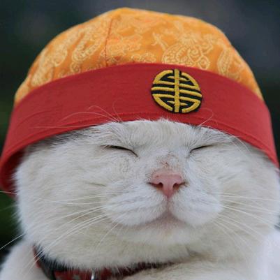 野老相声