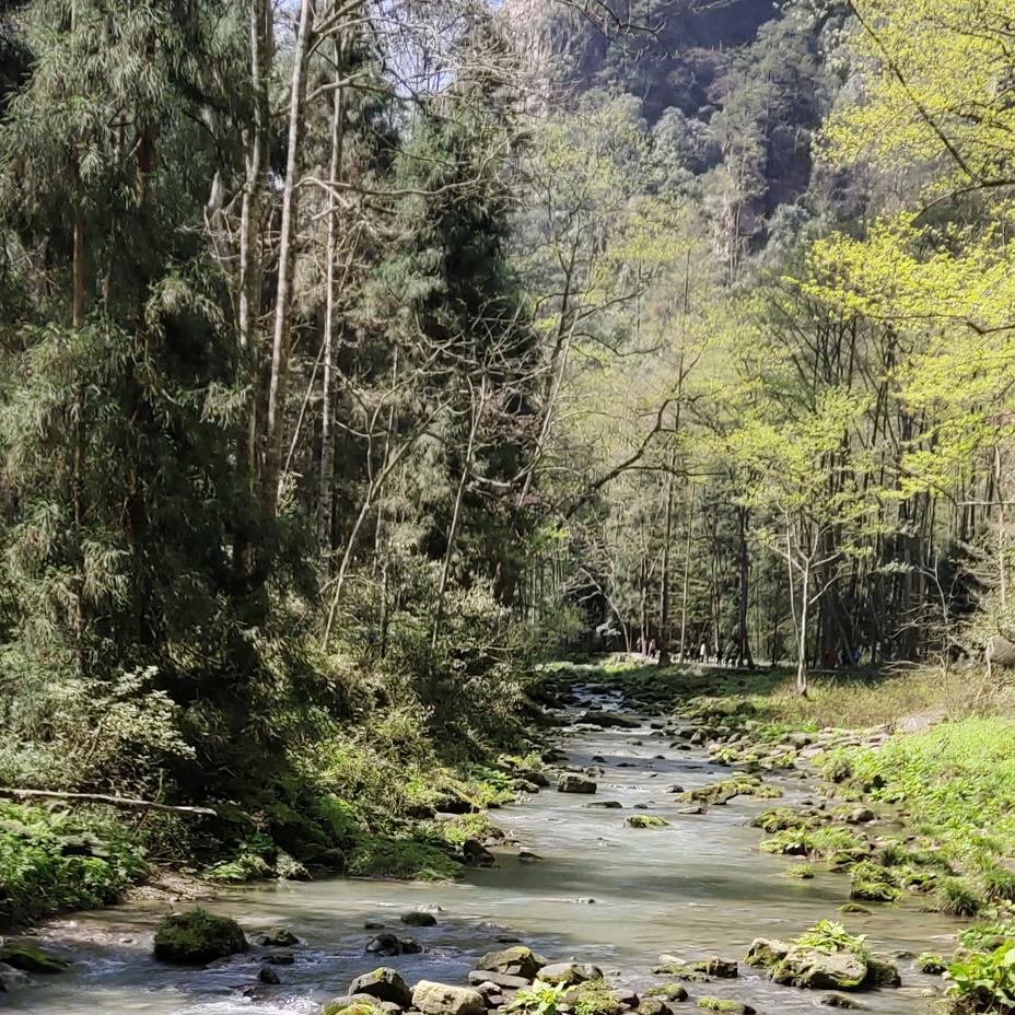 开心🍎简单👣