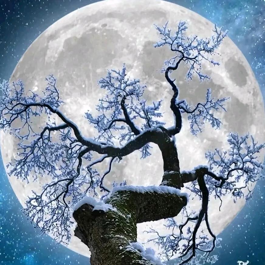 ✧*✧*孤殇✧*✧*