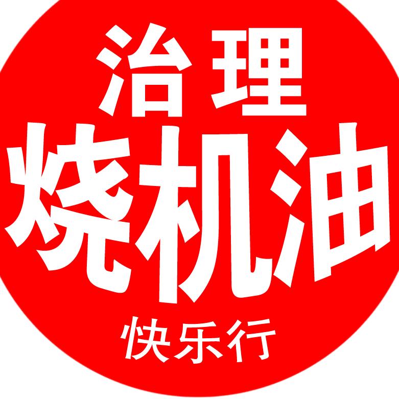 合肥尾气治理M站（快乐行汽修）