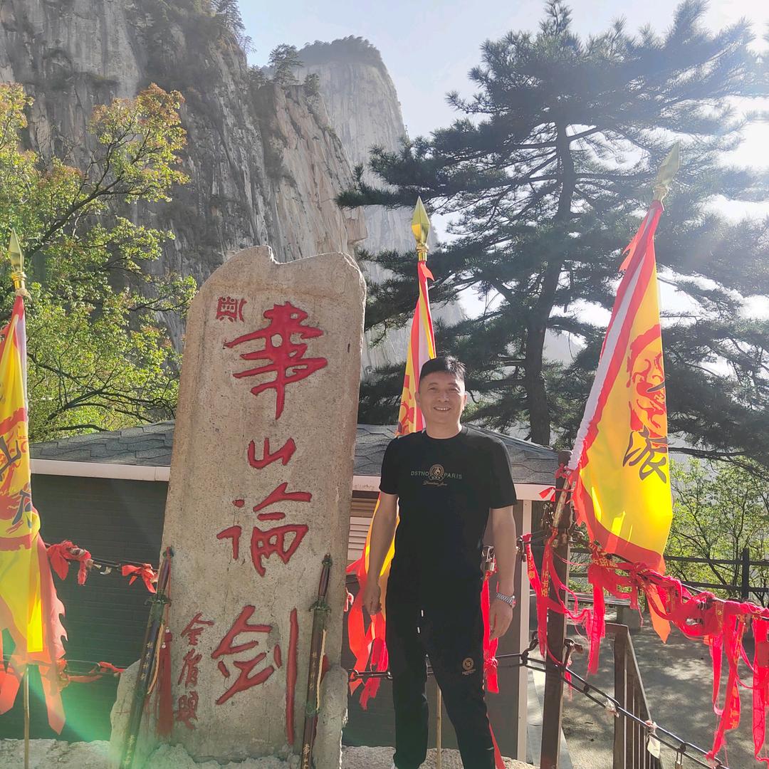 自由翱翔