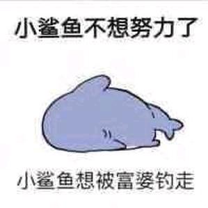 余生都是上上签