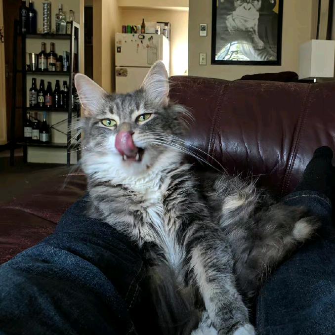 fff