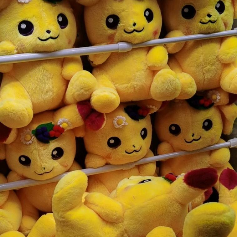 嘉兴小倪芦笋批发