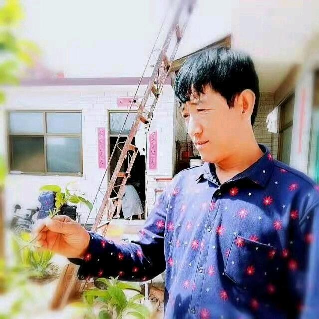 小酒窝