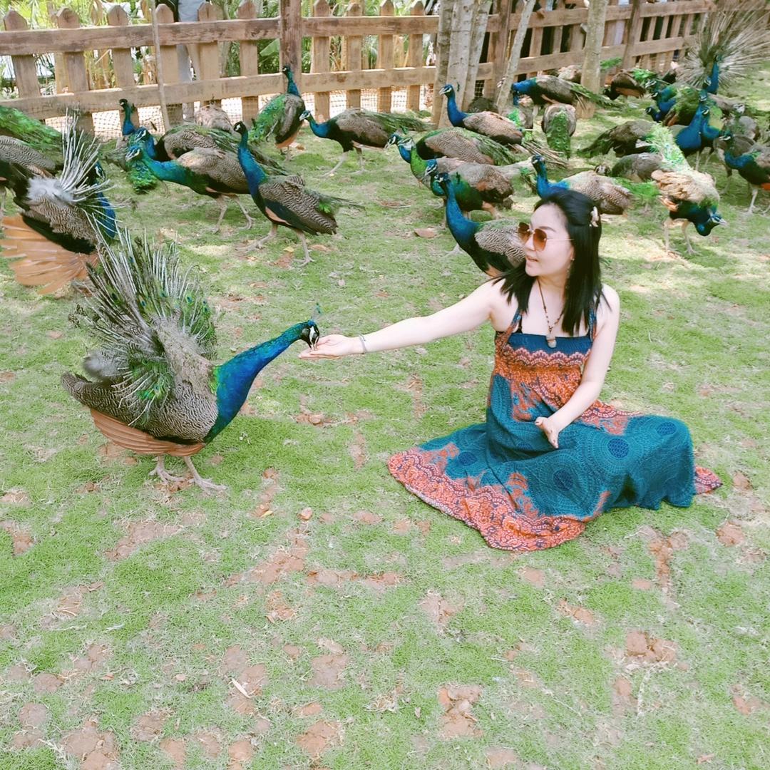 韩半斤的快乐生活