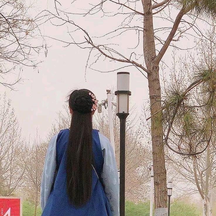 玉米菜团