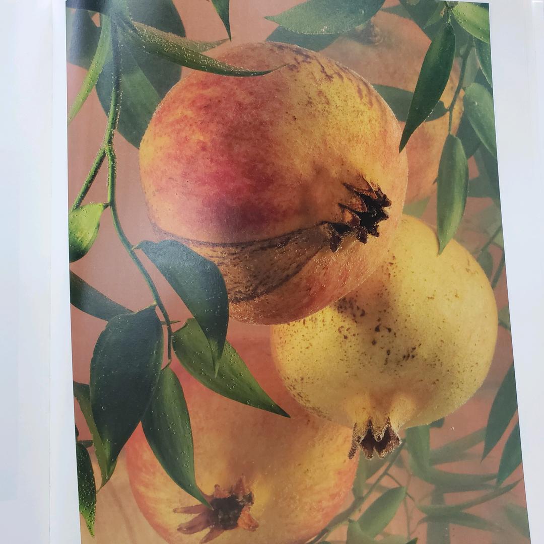 筌寒