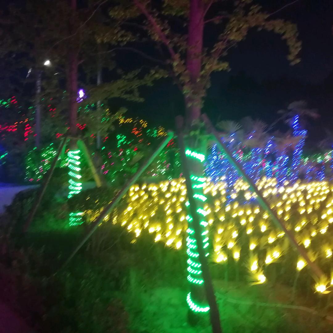 开门红