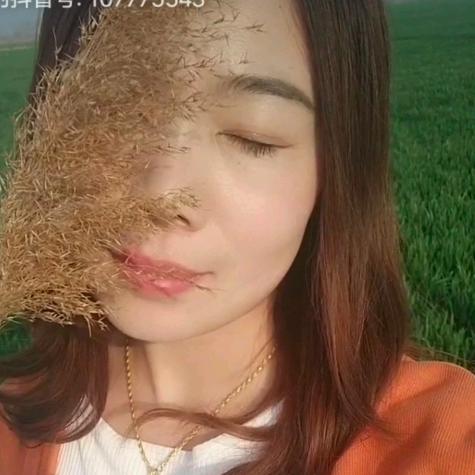 一直很安静2370178