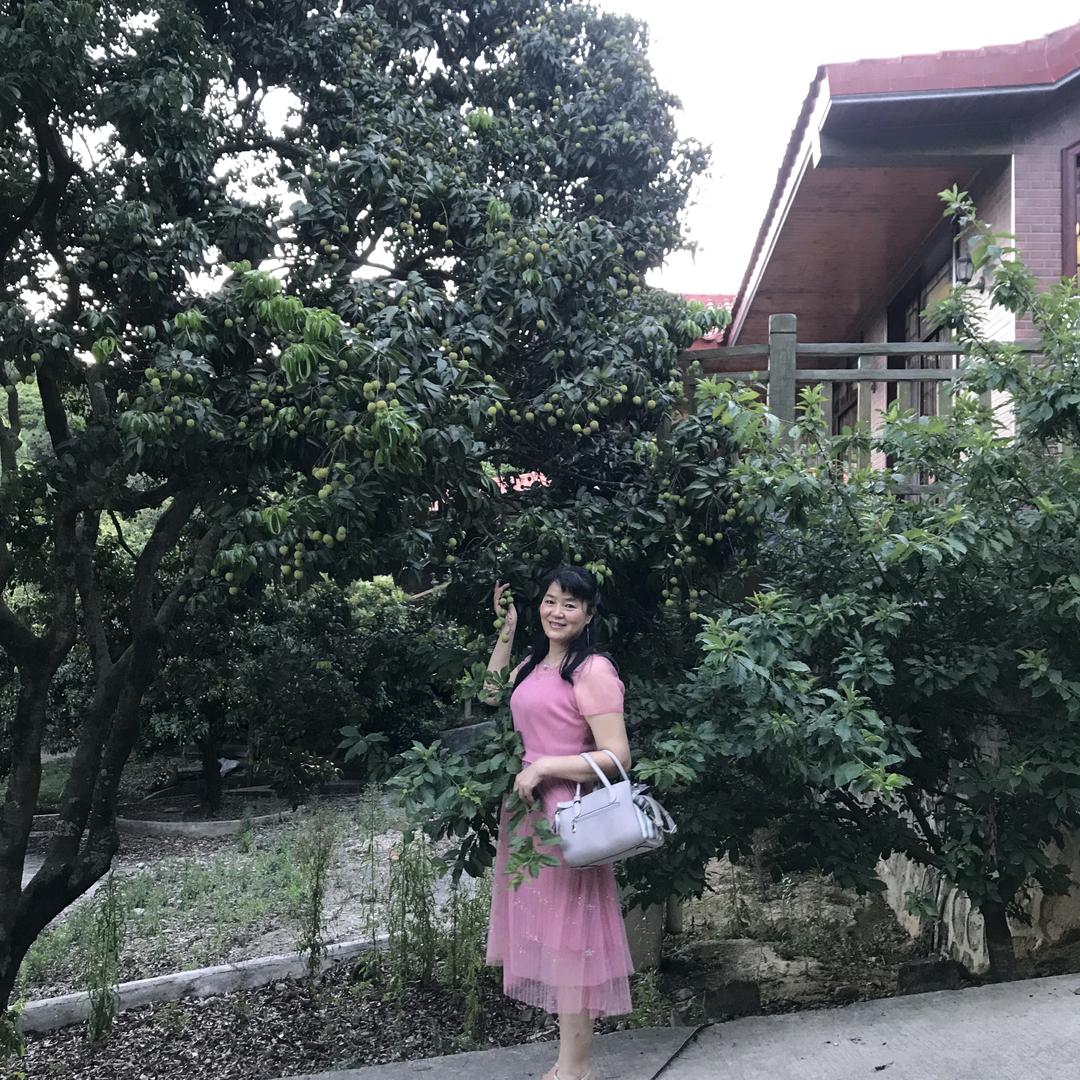 邱永兰(兰花草)