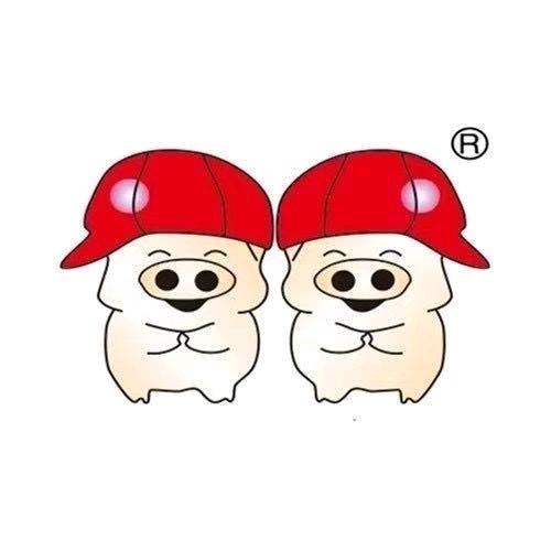 双胞胎饲料厂家直销