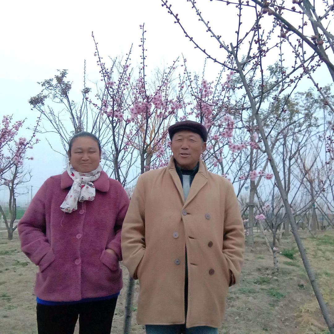 孙继树