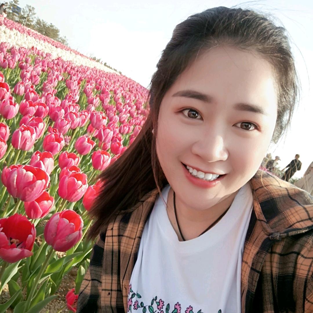 小灰灰