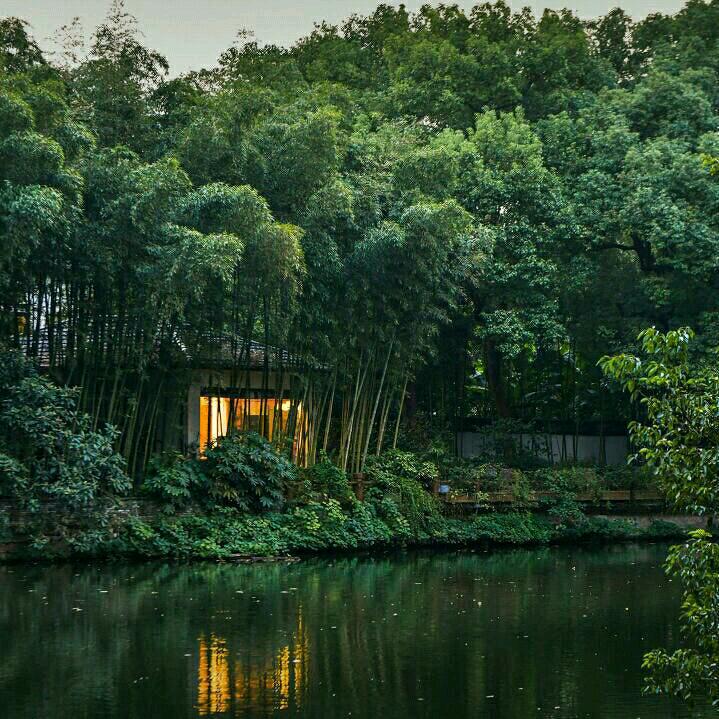 文明天下