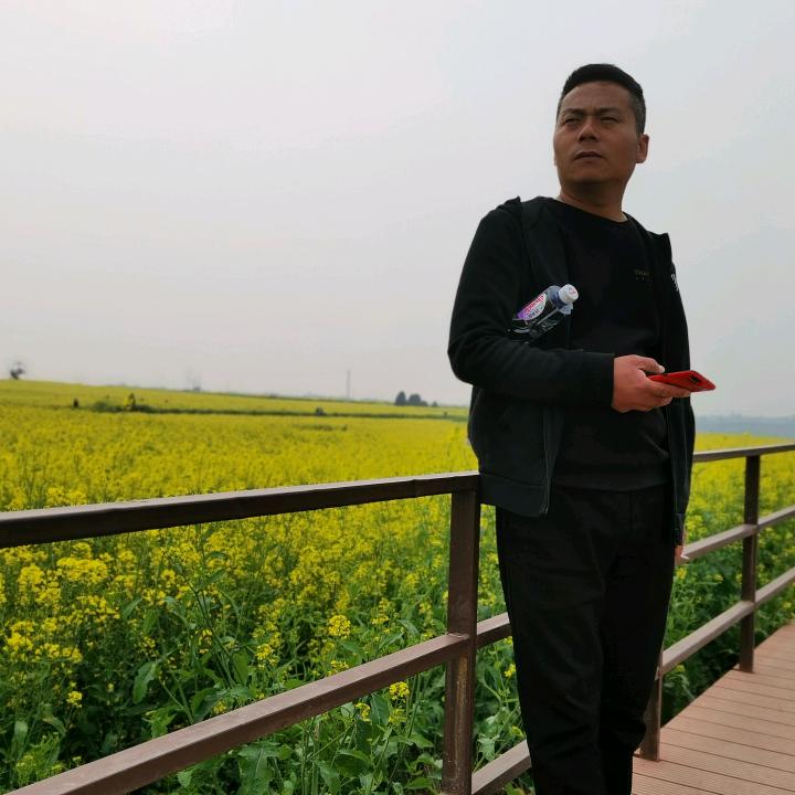 游任有余