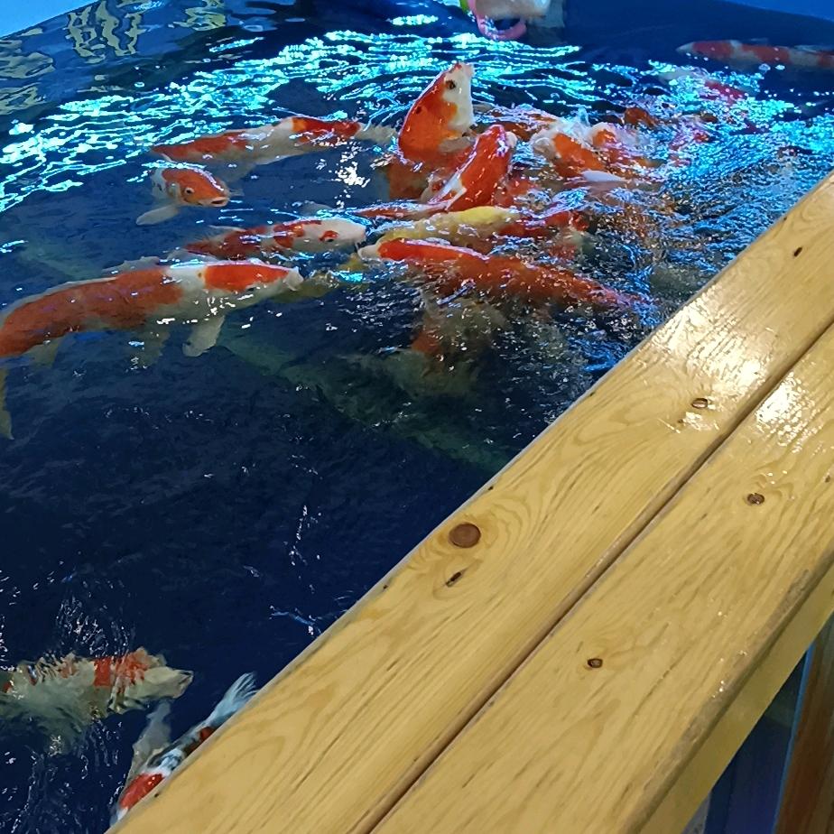 大山脚下的小妖精