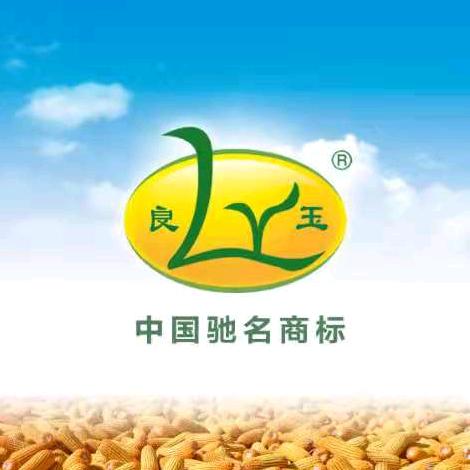 良玉炮-良玉山东