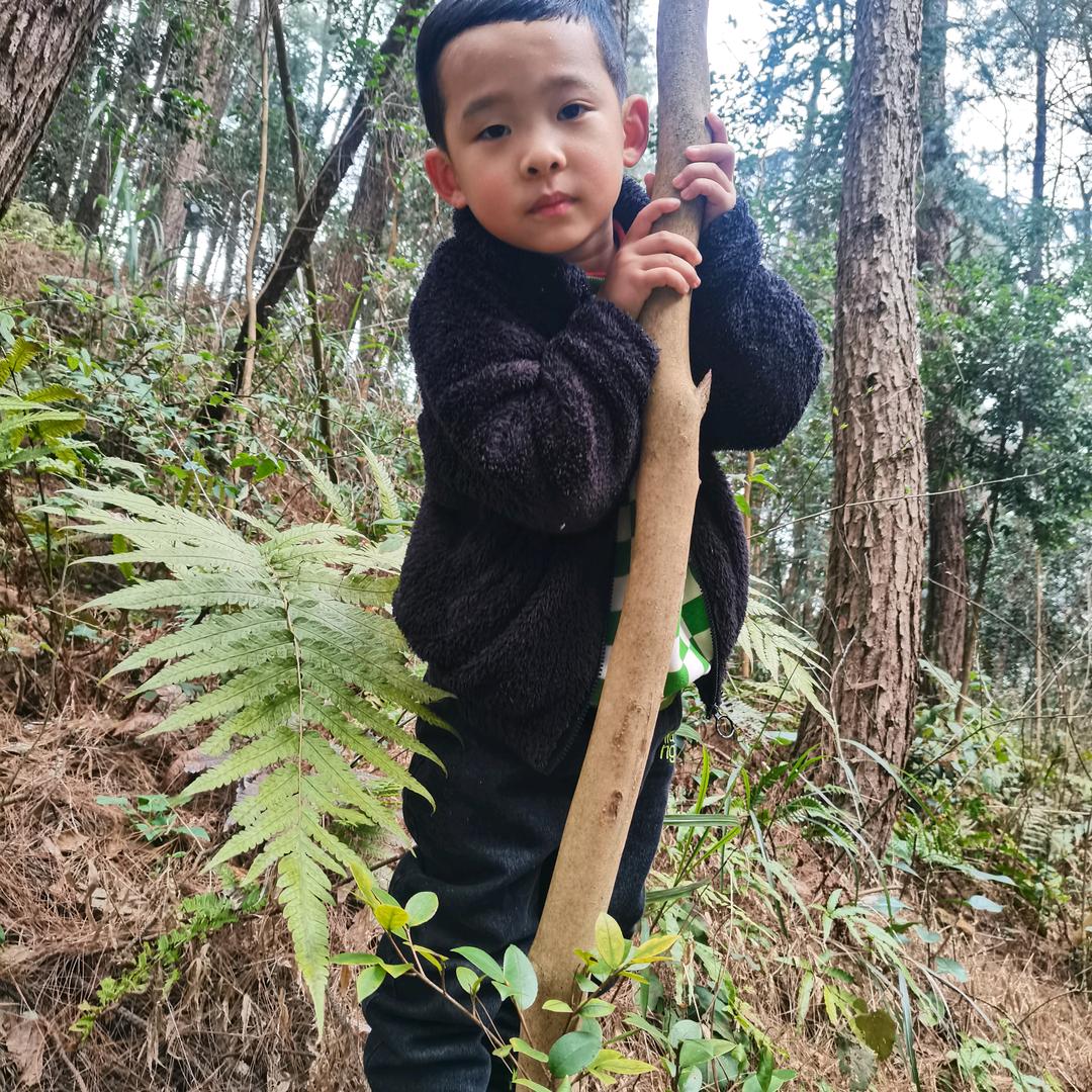 棒棒哒