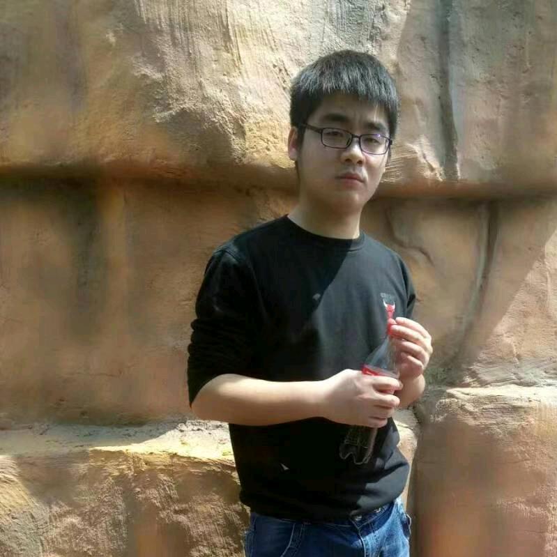 阳洋宠物