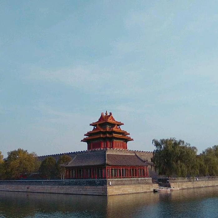 爱坚果的松鼠