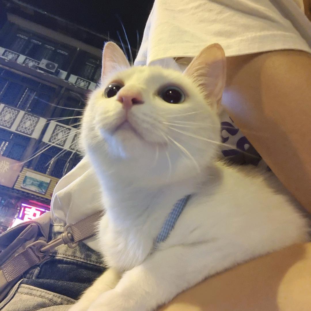 嘟噜
