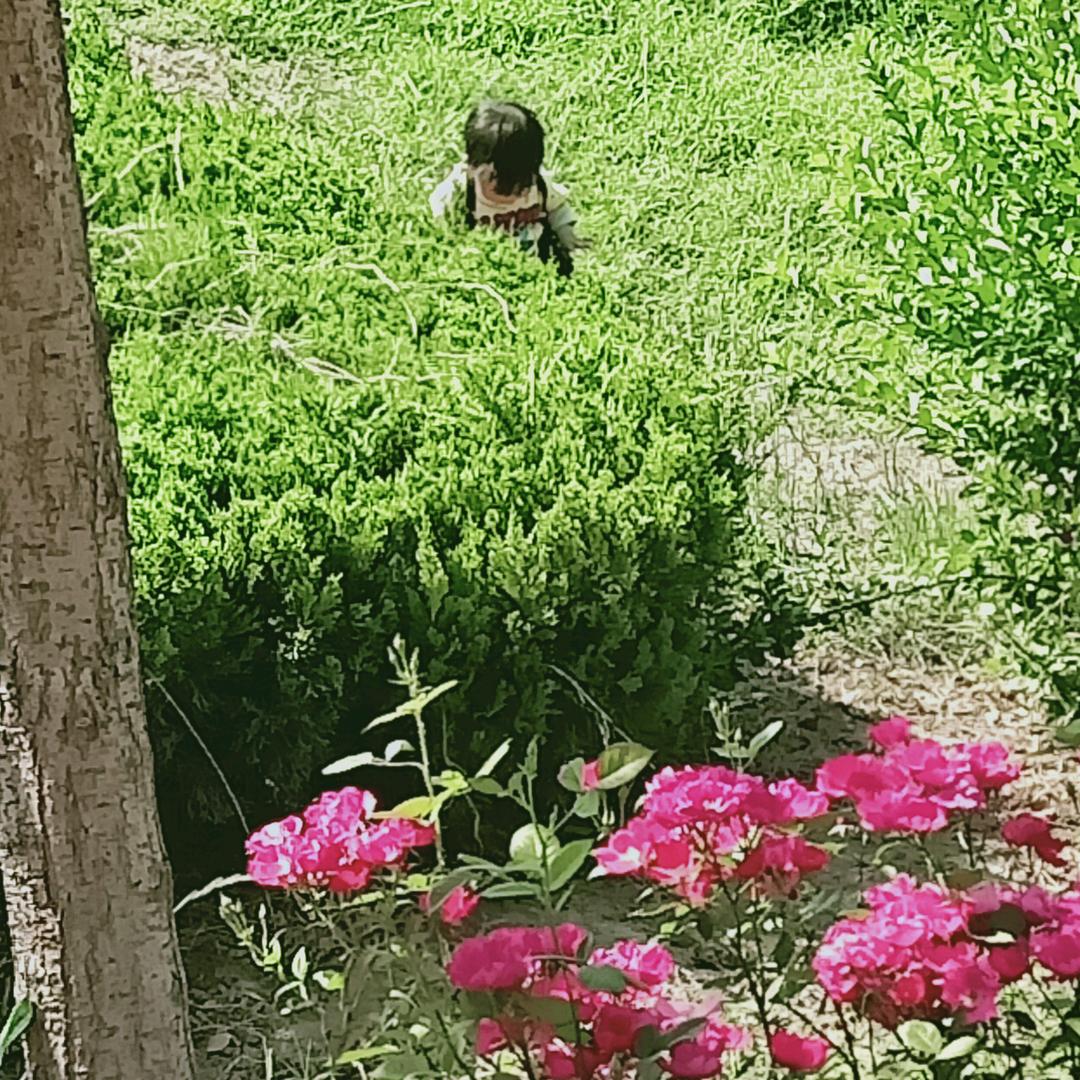 小桃子