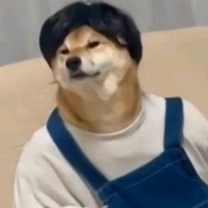 今天又做白日梦了头像