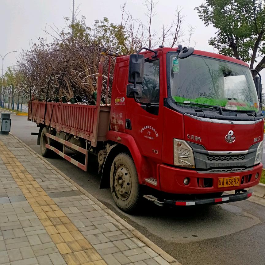 终南小孟货运，六米八平板