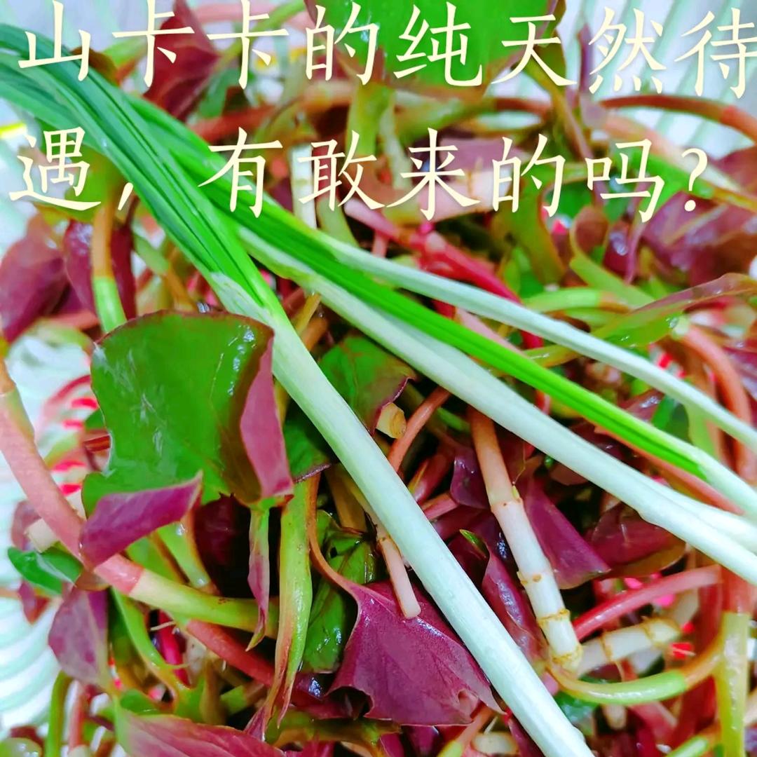 往后余生，各至安好