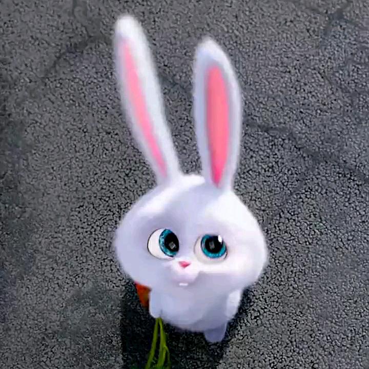 ꕥ᭄緣來是你࿆ྂ࿐