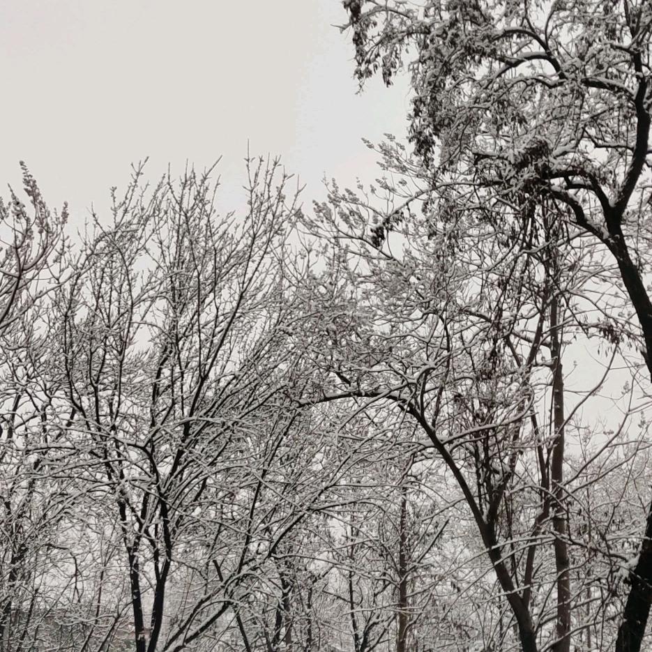 🌈🌈奋斗的小强