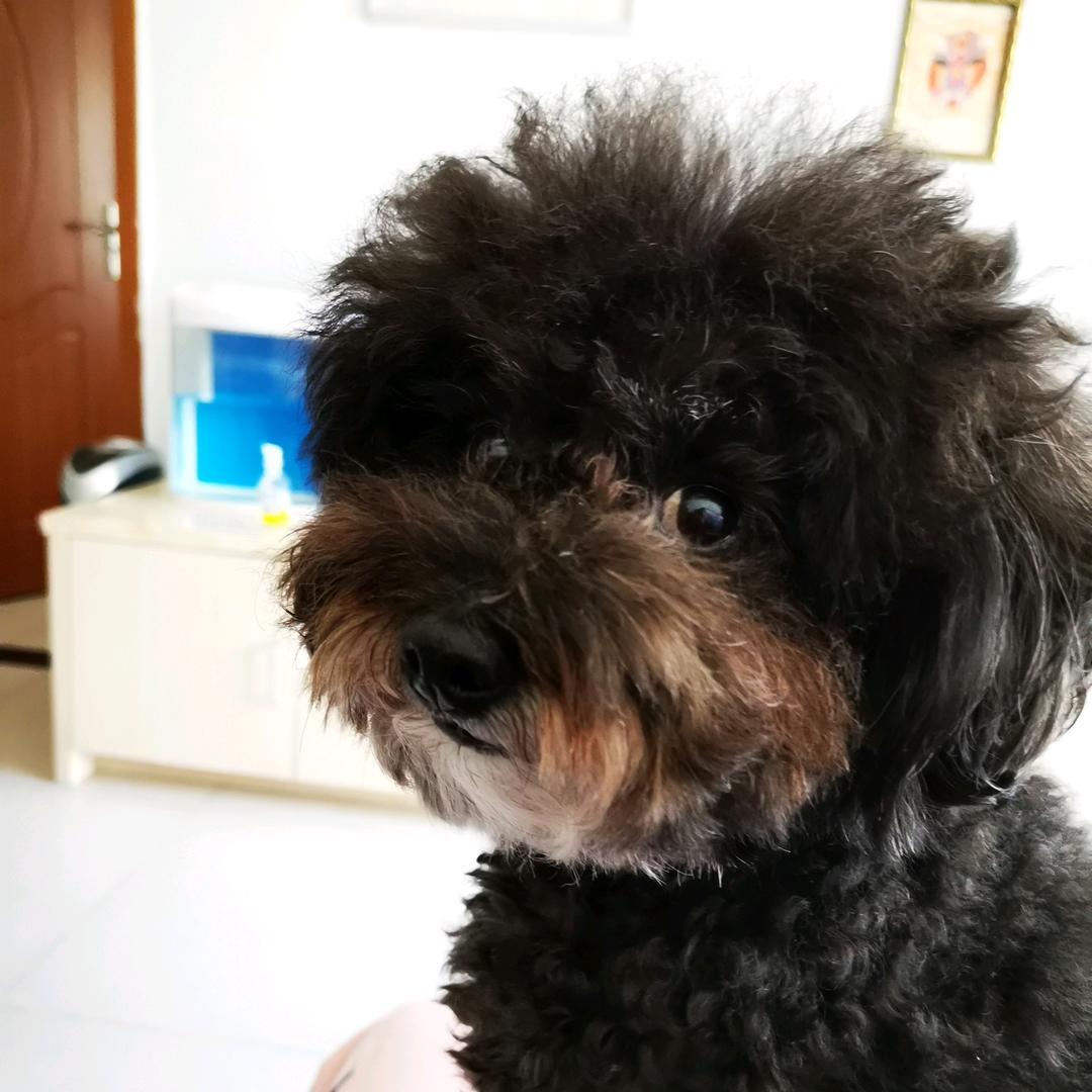 群儿