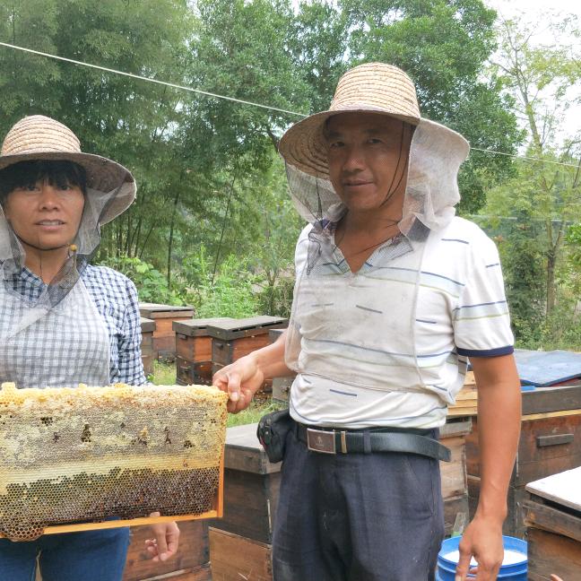 养蜂人