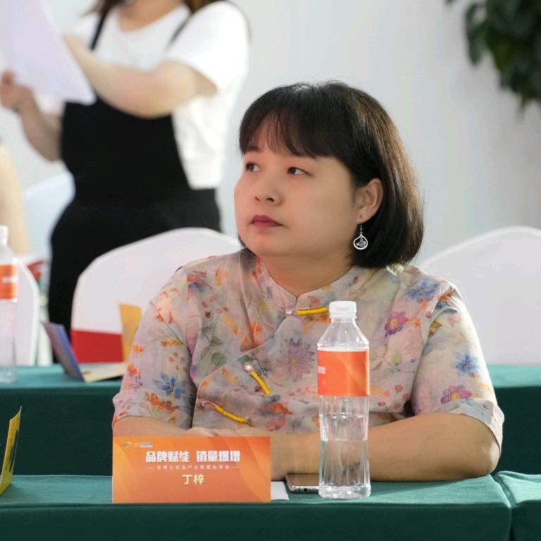 丁梓