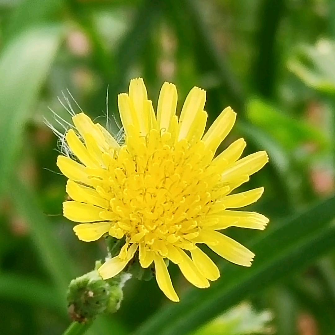 净☆静☆竞☆兢